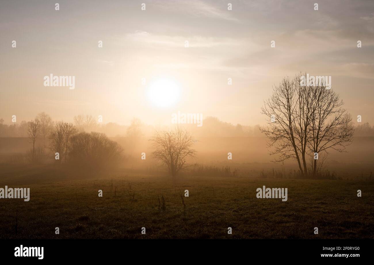 Lever du soleil à Erdinger Strasse, Ottenhofen, haute-Bavière, Bavière, Allemagne Banque D'Images