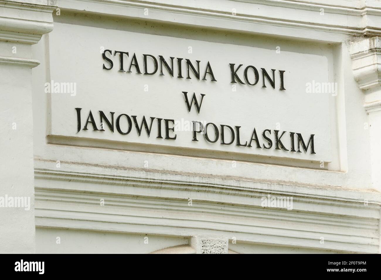 A propos de Woroncowska stable, State Stud Janow Podlaski, Pologne Banque D'Images