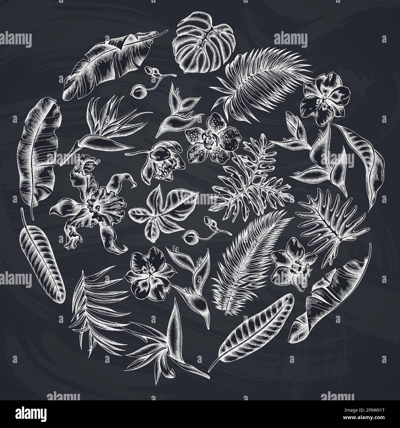 Motif floral rond avec craie monstère, feuilles de palmier banane, strelitzia, héliconia, feuilles de palmier tropicales, orchidée Illustration de Vecteur