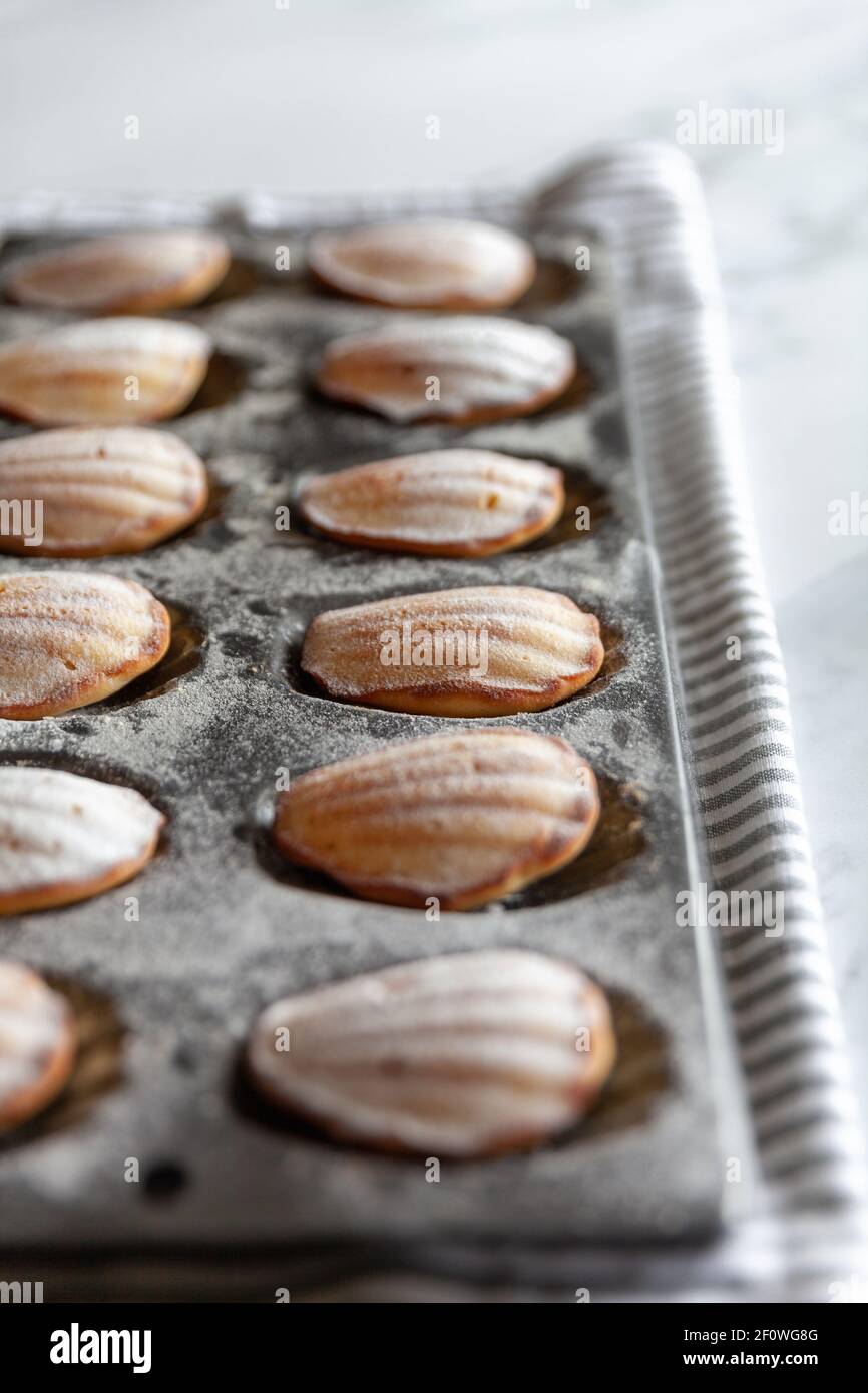 Gros plan de gâteaux de la madeleine fraîchement cuits dans un moule un torchon et un fond en marbre blanc Banque D'Images