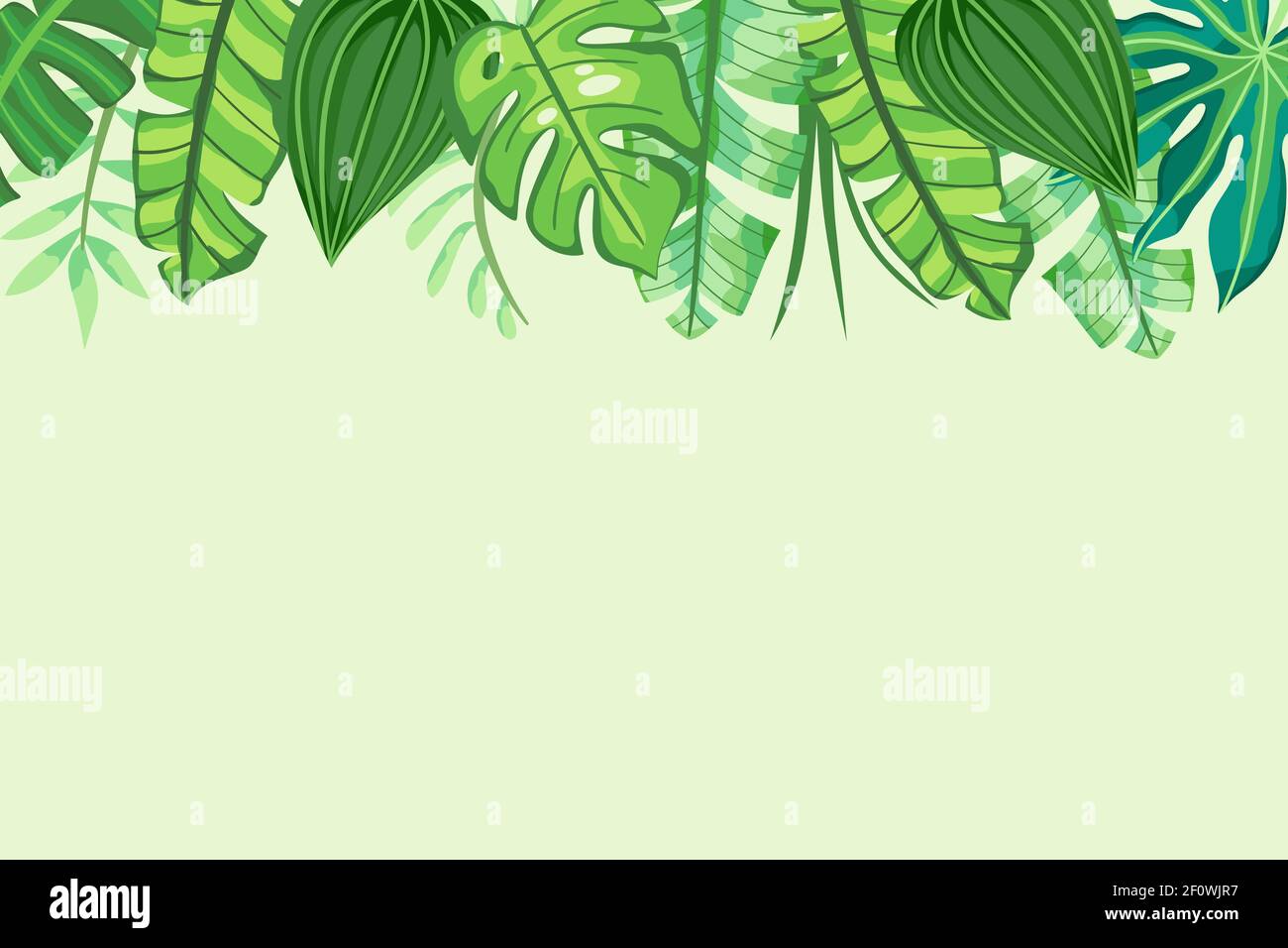 Fond tropical vert avec feuilles dans le dessus. Illustration vectorielle. Illustration de Vecteur