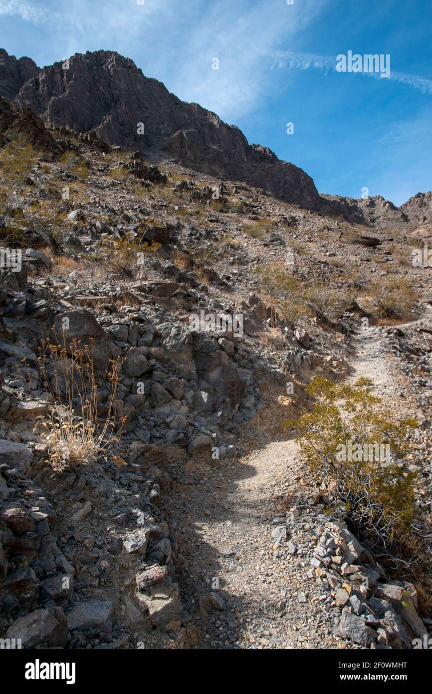 Il y a un sentier de randonnée à côté de l'hippodrome dans le parc national de la Vallée de la mort. Elle mène au sommet du pic Ubehebe. Banque D'Images