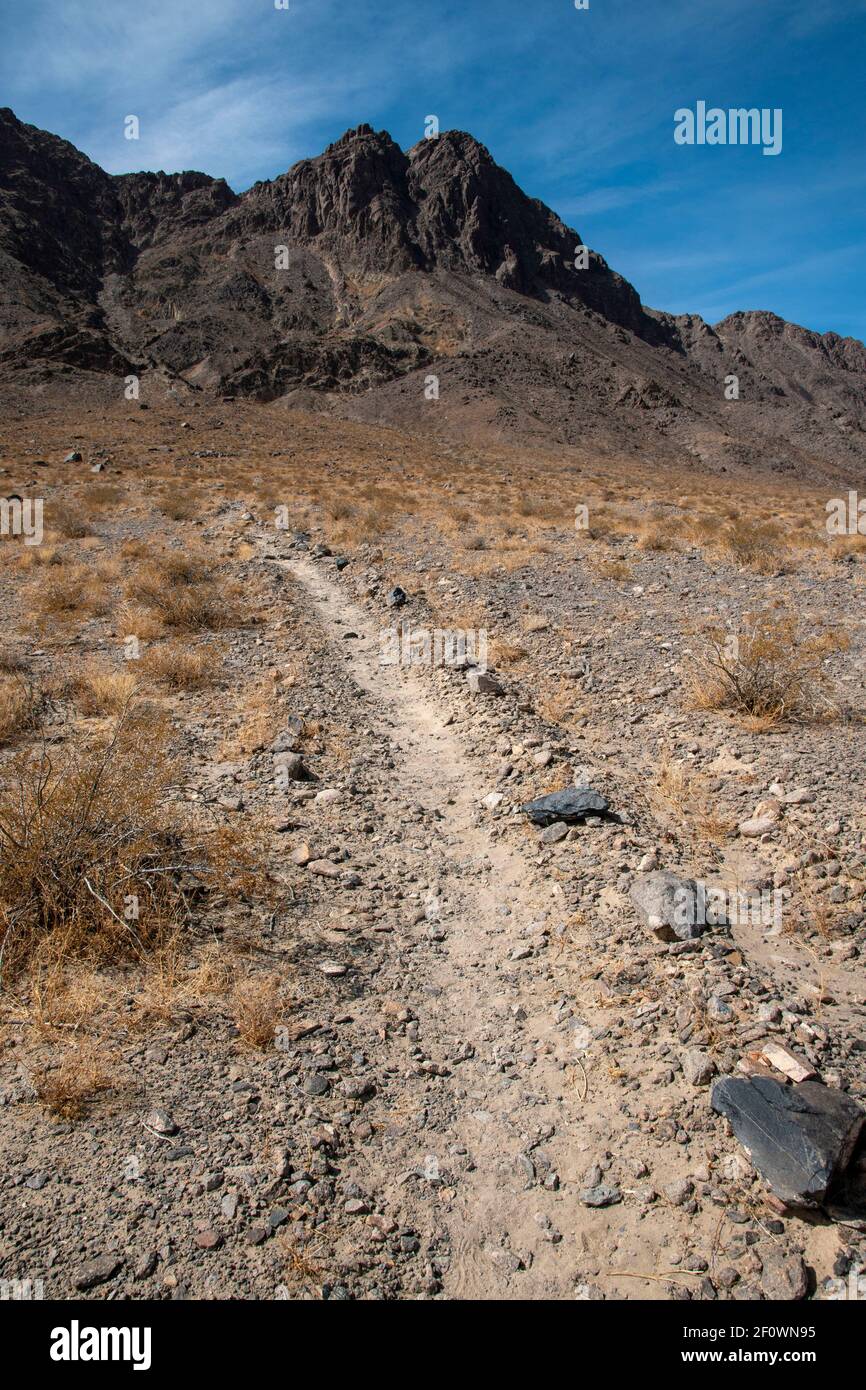 Il y a un sentier de randonnée à côté de l'hippodrome dans le parc national de la Vallée de la mort. Elle mène au sommet du pic Ubehebe. Banque D'Images