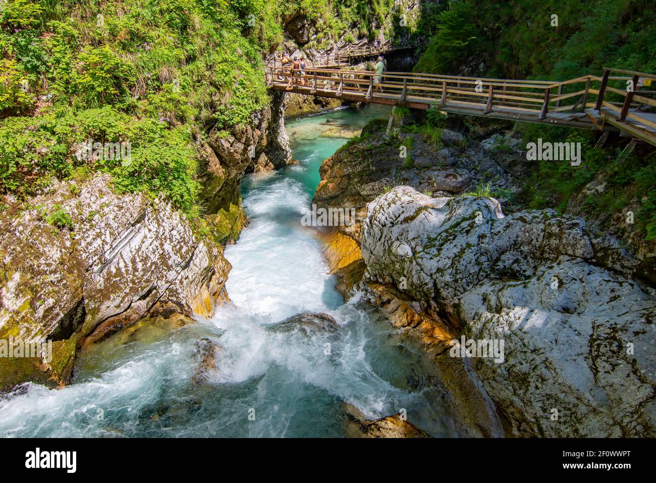 Gorge de Blejski - Blejski vintgar pendant une belle journée ensoleillée, Slovénie Banque D'Images