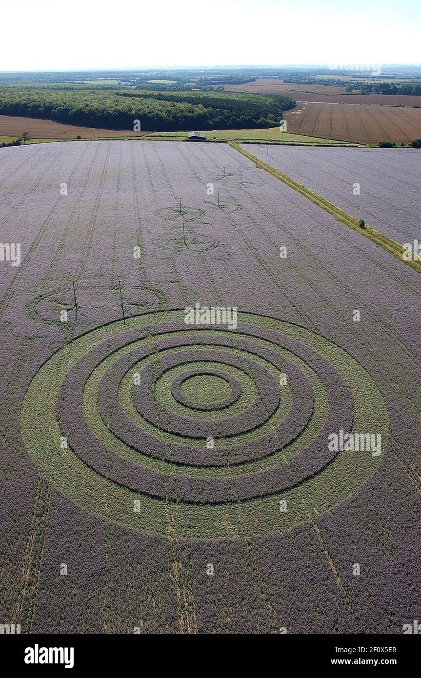 CROP CIRCLE À COLLINGBOURNE KINGSTON, WILTSHITRE. LE CERCLE SE TROUVE DANS UN CHAMP DE LIN ET EST LE PREMIER CERCLE À APPARAÎTRE DANS LE LIN DEPUIS 1998. LES FLEURS BLEUES DÉLICATES DE LIN FONT ÉCRASER AVEC DES PLANCHES ETC PRESQUE IMPOSSIBLE SANS ÊTRE ÉVIDENT . LES VISITEURS DE CE CERCLE DISENT QU'IL EST EN PARFAIT ÉTAT.2005 Banque D'Images