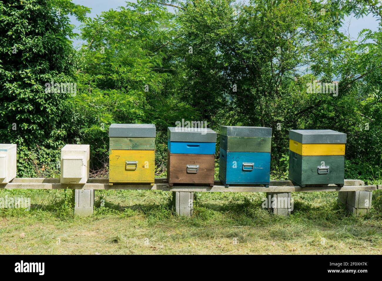 Quelques ruches pour l'élevage des abeilles Banque D'Images