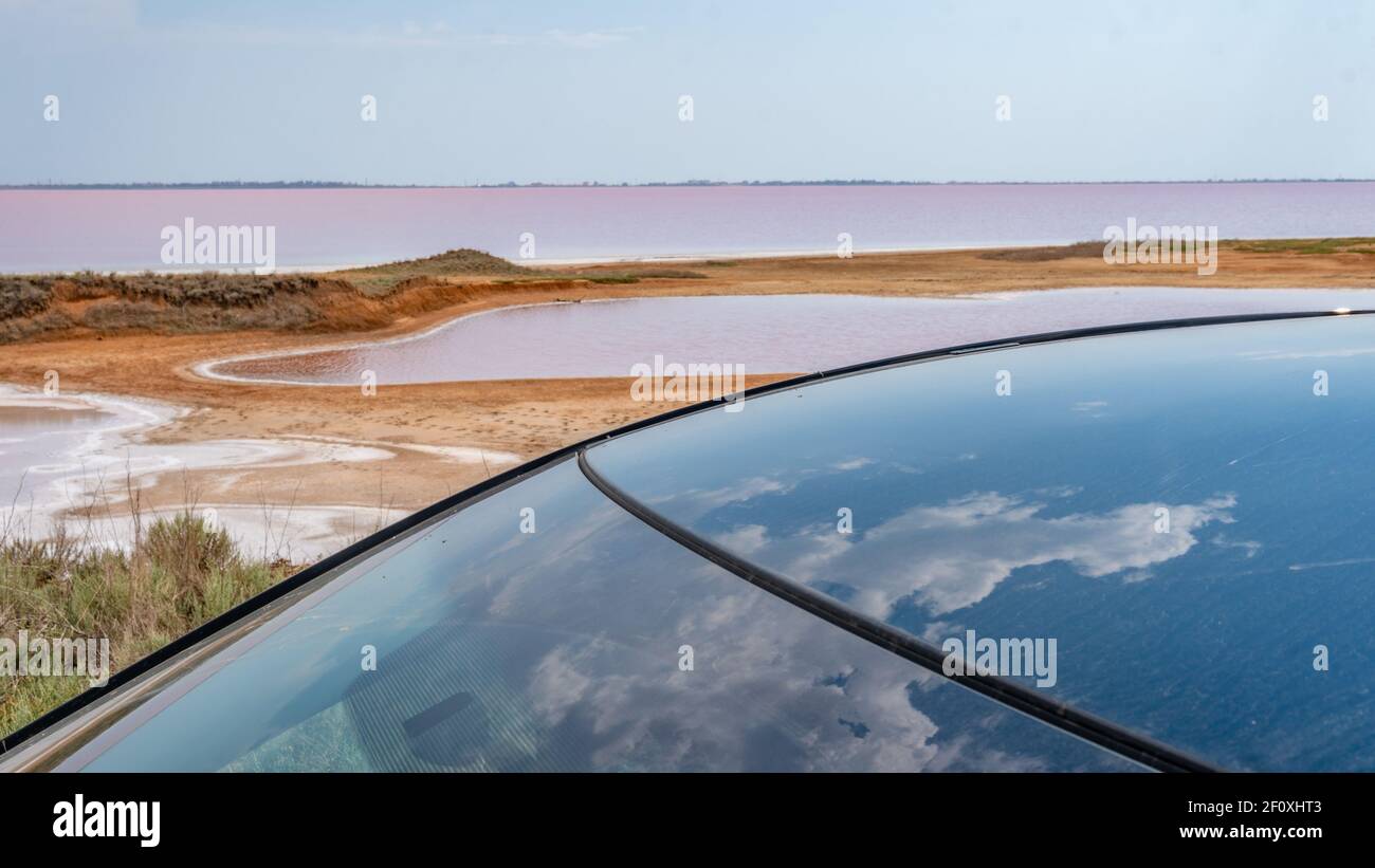 L'eau salée rose, le sel de mer, créé à partir d'algues microscopiques unicellulaires sécrète des minéraux de betacaratin cultivés par la lumière bactérienne Banque D'Images