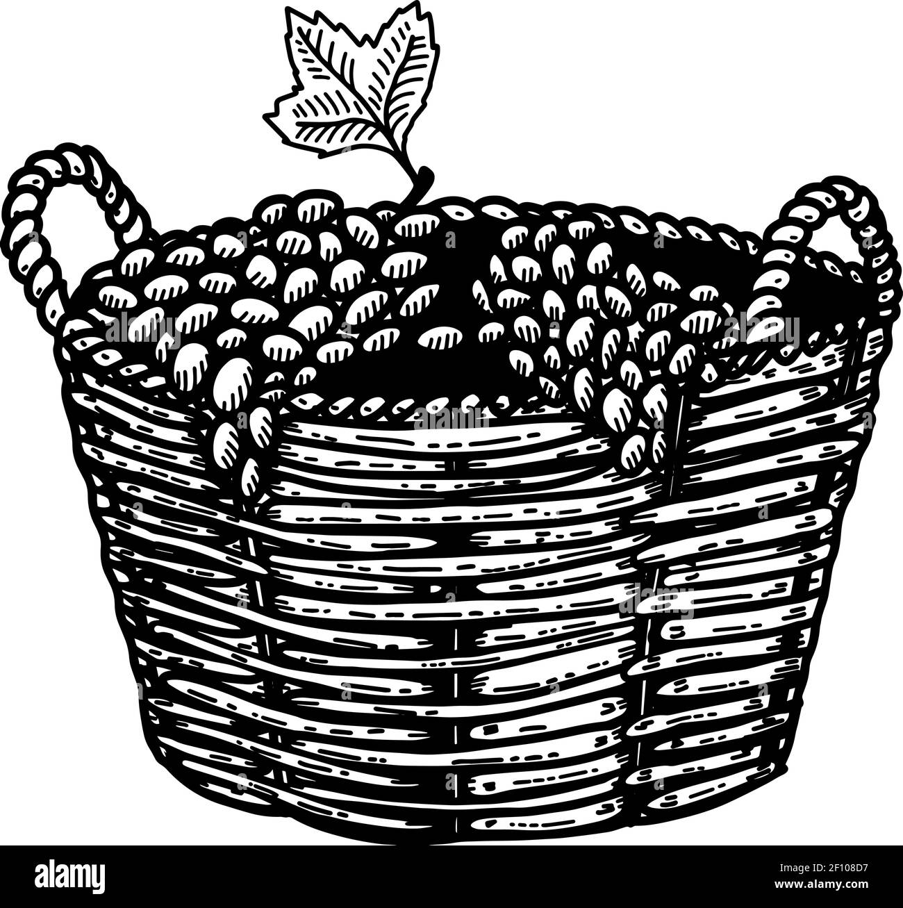 Illustration du panier avec raisin en style gravure. Élément de conception pour affiche, carte, bannière, affiche. Illustration vectorielle Illustration de Vecteur