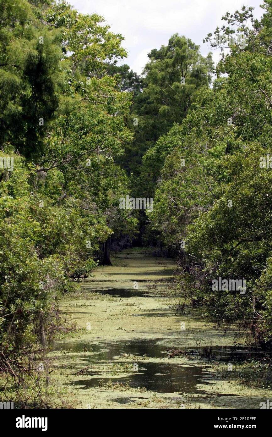 Jean lafitte national historique Banque d'image et photos Alamy