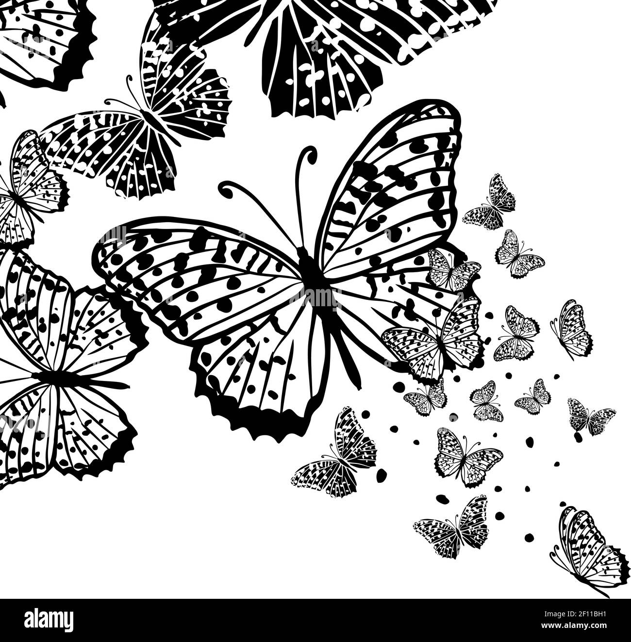 Tatouage Papillon Noir Et Blanc Tatouage décoratif papillon. Papillon noir des motifs. Illustration  vectorielle Image Vectorielle Stock - Alamy