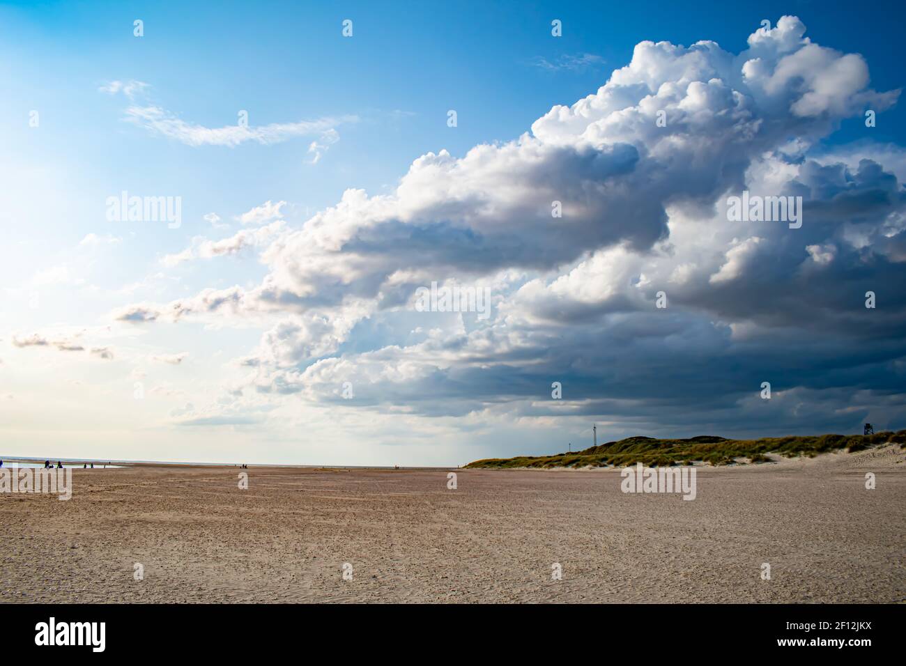 Dunes de sable de la plage de Blavand au Danemark Banque D'Images