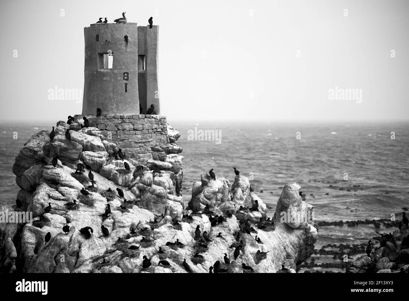 En afrique du Sud faune nature oiseaux et rochers Banque D'Images