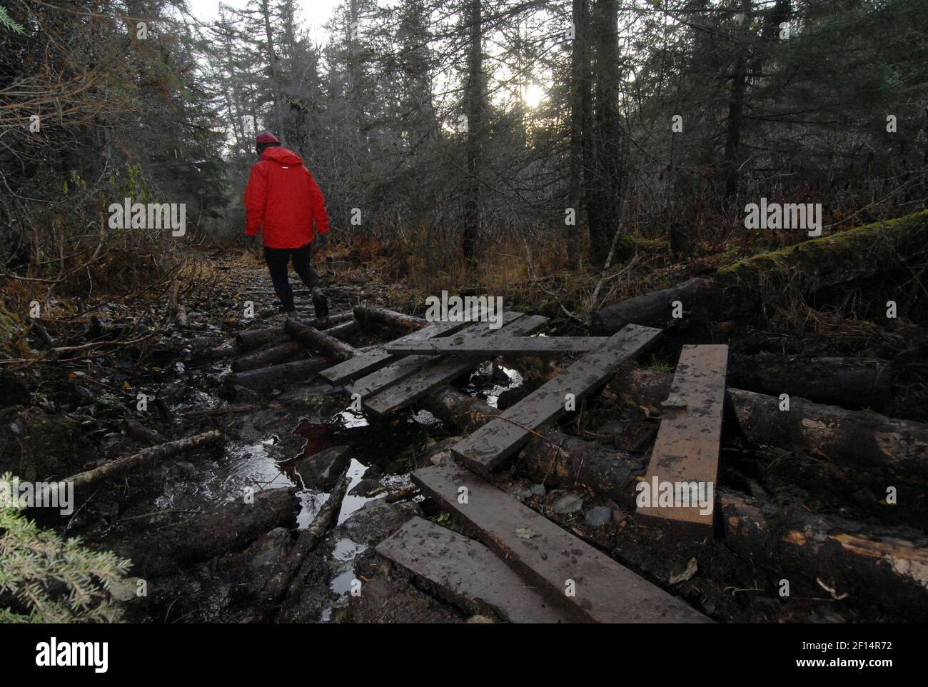 L'un des Septembers les plus humides de l'histoire du sud de l'Alaska, combiné à des chasseurs d'orignaux à cheval, a quitté le sentier du col indien près d'Anchorage, en Alaska, dans un mess. (Photo de Bill Roth/Anchorage Daily News/MCT/Sipa USA) Banque D'Images