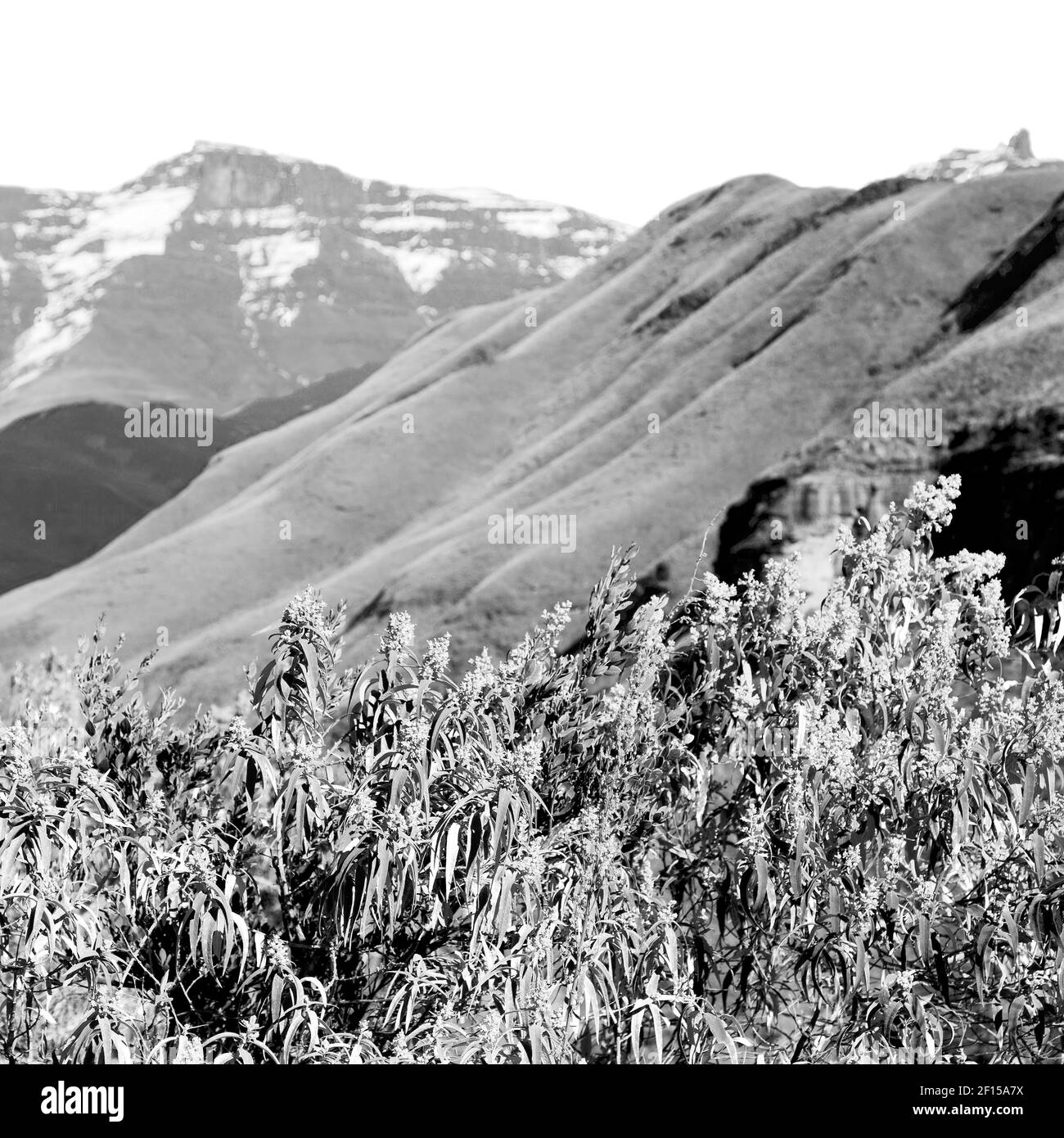 En Afrique du Sud vallée de la désolation Banque D'Images