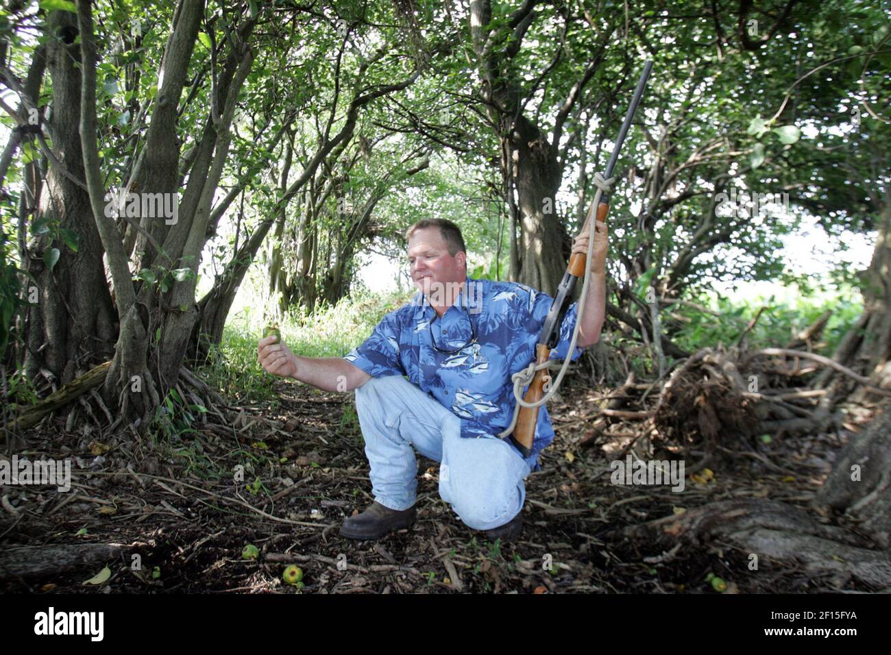 Boots Boyer tient une graine avec son fusil de chasse utilisé pour la  protection contre les porcs sauvages et les alligators. Boyer était à la  recherche des graines le jour où il