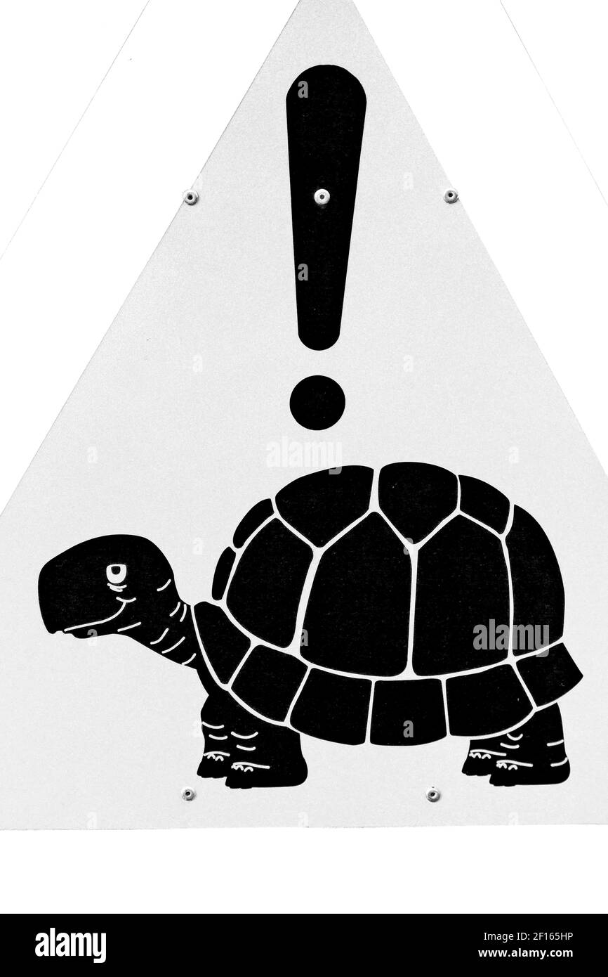 En afrique du Sud, gros plan sur le panneau de la tortue Banque D'Images