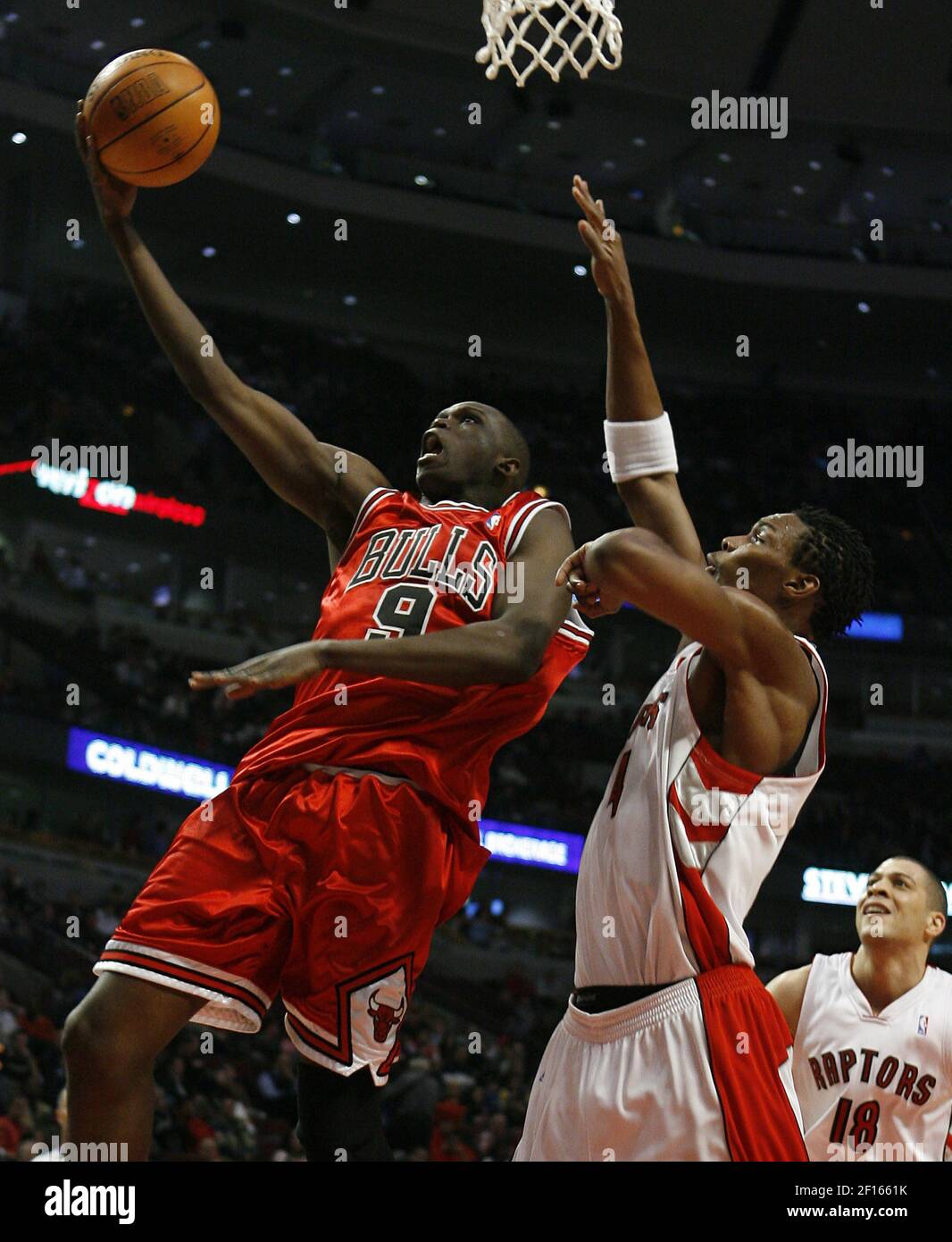 Luol Deng de Chicago Bulls monte deux points en avance sur Chris Bosh de Toronto Raptors au cours du deuxième trimestre au United Center à Chicago, Illinois, le mardi 13 février 2007. (Photo de Nuccio DiNuzzo/Chicago Tribune/MCT/Sipa USA) Banque D'Images