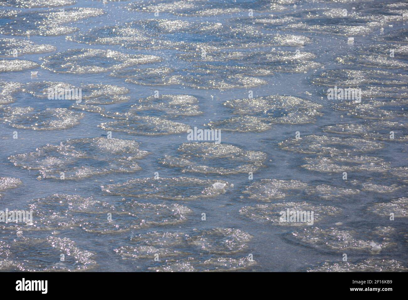 Arrière-plan d'hiver. La texture de la glace, la mise au point douce. Texture de glace sur un étang. Motif givré. Banque D'Images