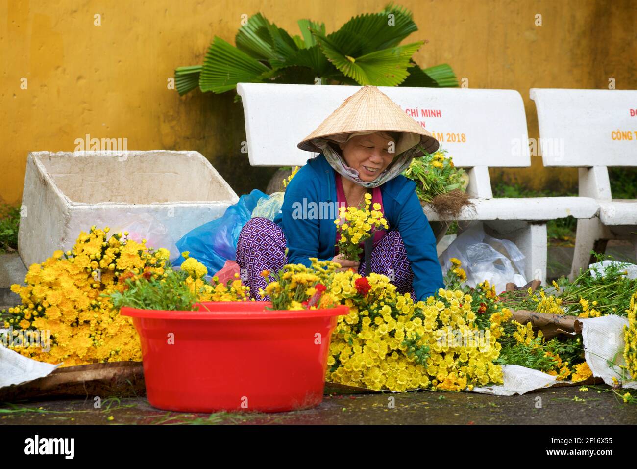 Vendeur de fleurs vietnamiennes en chapeau conique distinctif. Marché Hoi an, Vietnam Banque D'Images