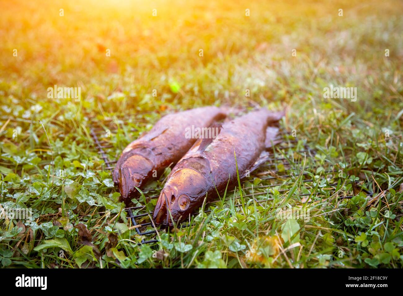 le poisson fumé refroidi de rivière se trouve sur la grille sur le herbe Banque D'Images