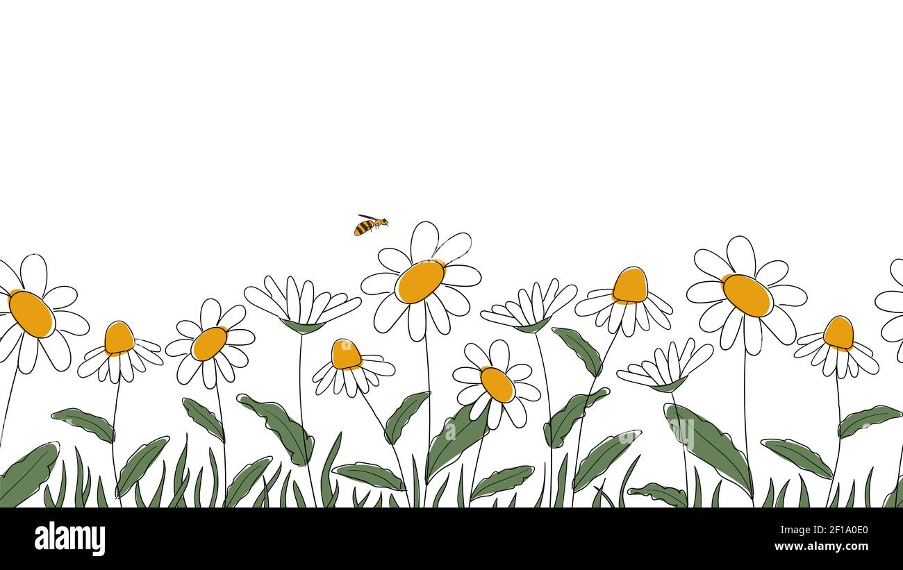 Bordure sans couture de pâquerettes dessinées à la main dans un dessin animé simplifié pour enfants Style naïf sur fond blanc.petite abeille assise sur fleur.pour le design du site web Banque D'Images