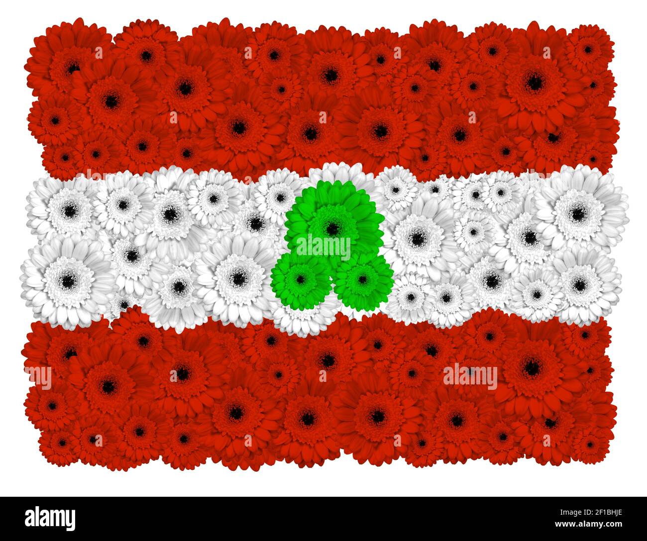 Drapeau libanais fait de fleurs gerbera, isolé sur blanc Banque D'Images