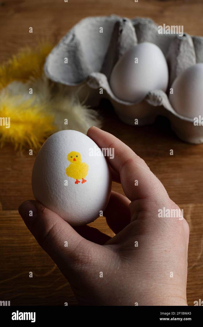 Tenant un œuf qui a un joli poulet jaune peint dessus. Œuf pour le petit déjeuner de Pâques. Banque D'Images