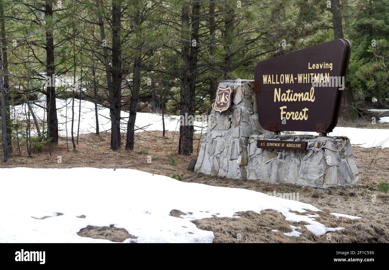 De la neige fraîche se trouve autour du panneau de la forêt nationale de Wallowa-Whitman Banque D'Images