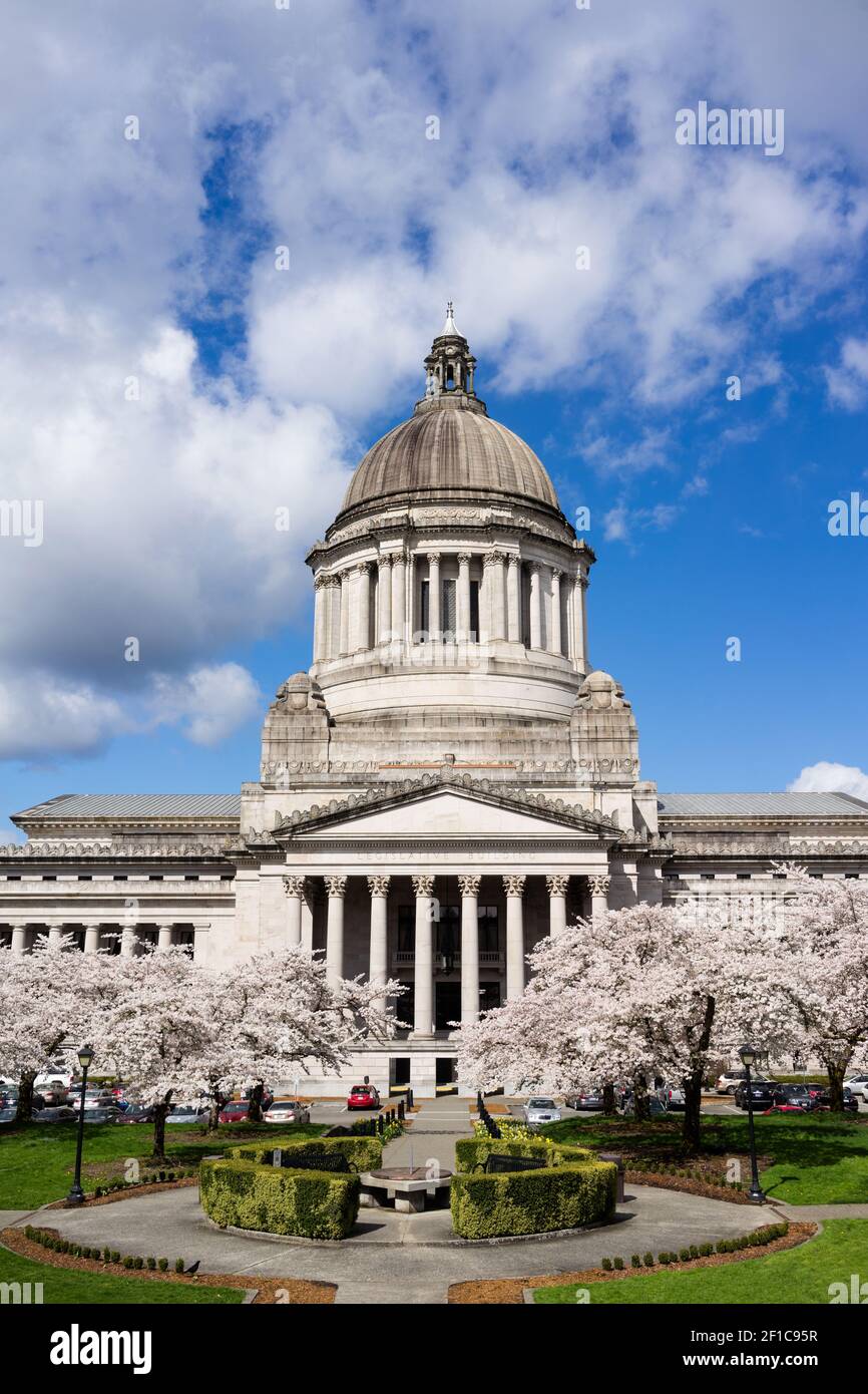 Washington State Capital Building Olympia Springtime Cherry Blossoms Banque D'Images