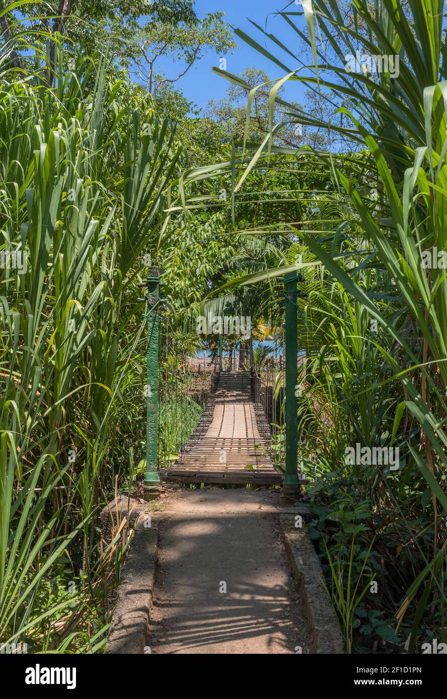 Pont suspendu au parc naturel de la forêt tropicale, Drake Bay Costa Rica Banque D'Images
