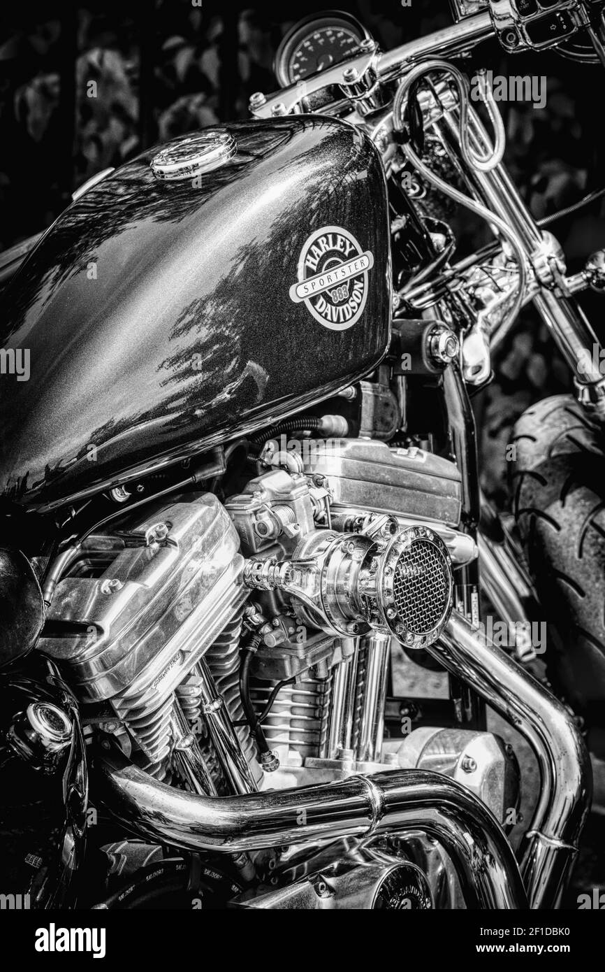 Harley Davidson Sportster moto. Noir et blanc Banque D'Images