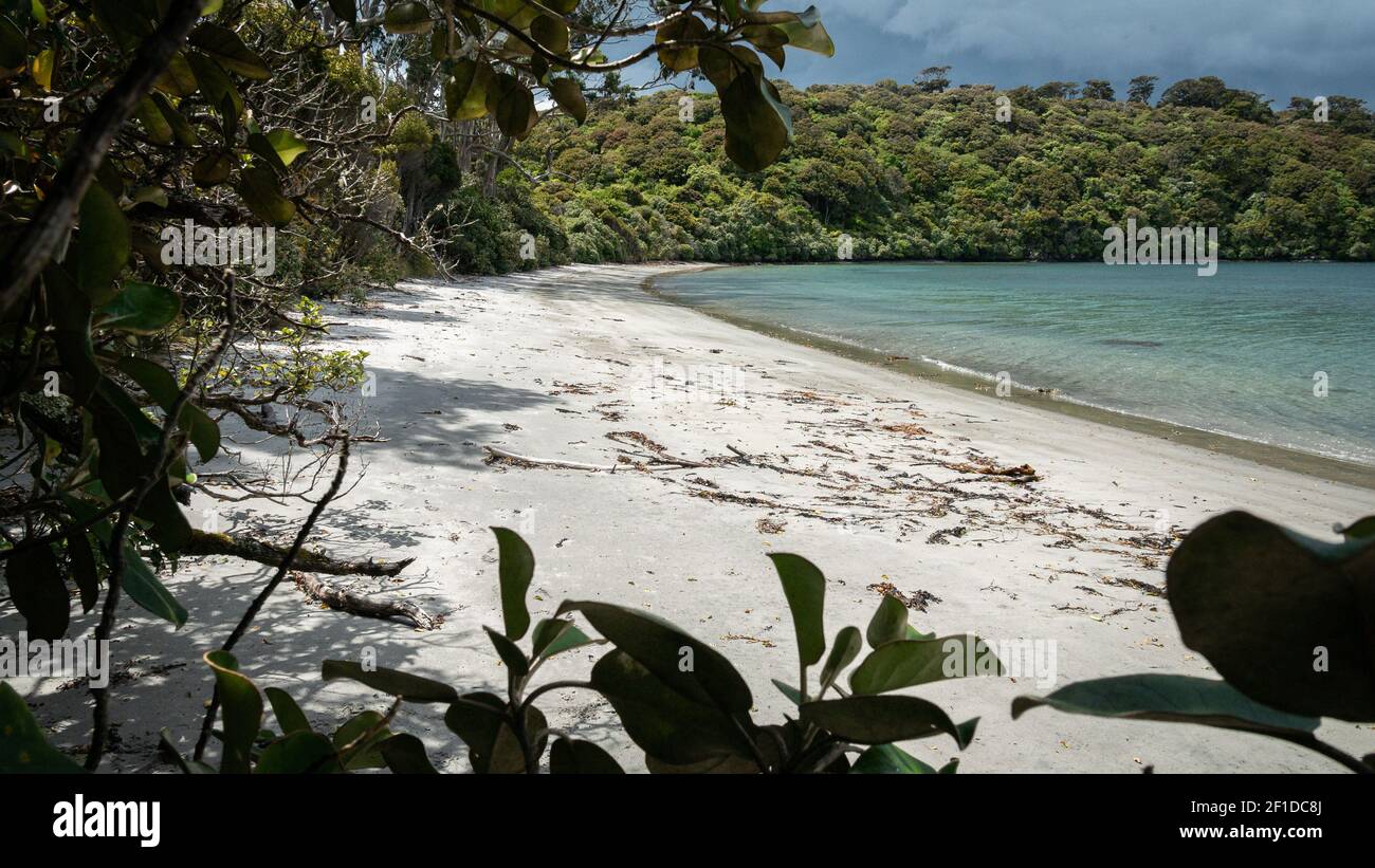 Plage isolée avec sable blanc partiellement encadrée par des branches d'arbres. Photo réalisée sur l'île Stewart (Rakiura), Nouvelle-Zélande Banque D'Images