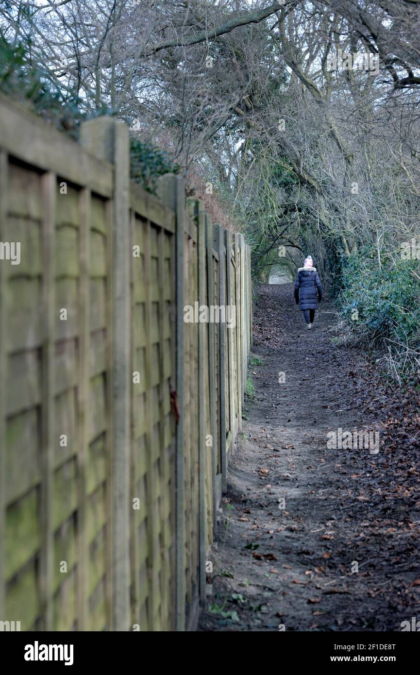 femme solitaire âgée marchant sur le sentier rural ellingham norfolk angleterre Banque D'Images