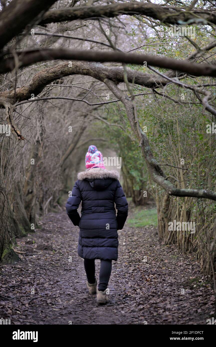 femme solitaire marchant sur un sentier de campagne bordé d'arbres Banque D'Images