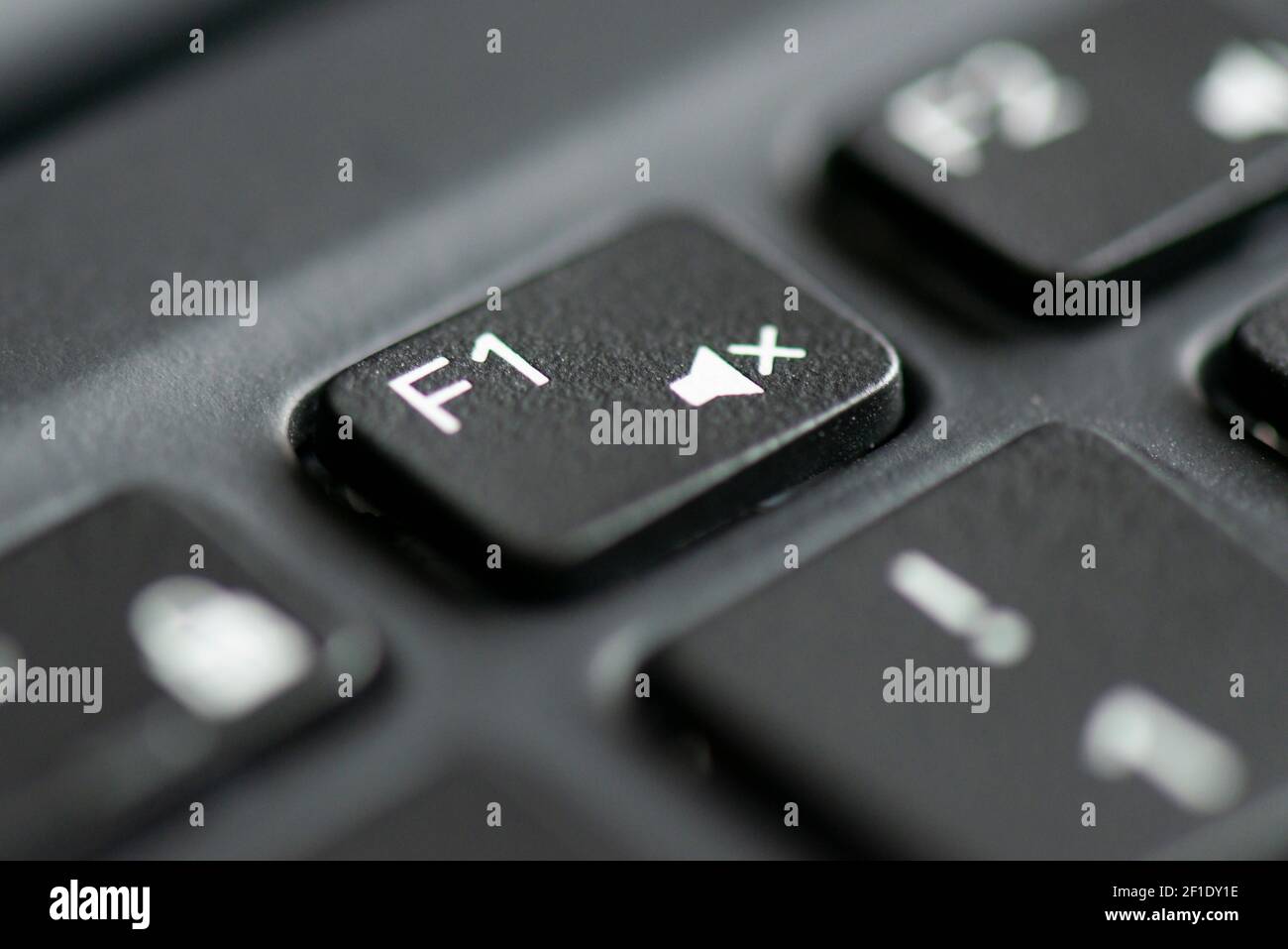 F1 et touche de volume muet sur le clavier d'un ordinateur portable Photo  Stock - Alamy