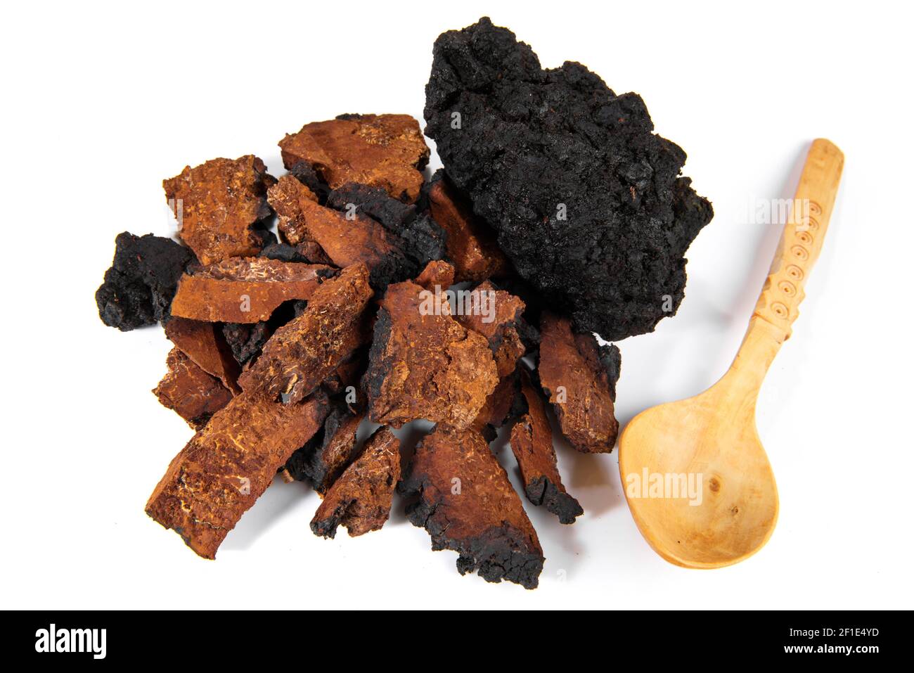 Chaga Mushroom Isolé - Minéraux Naturels Banque D'Images