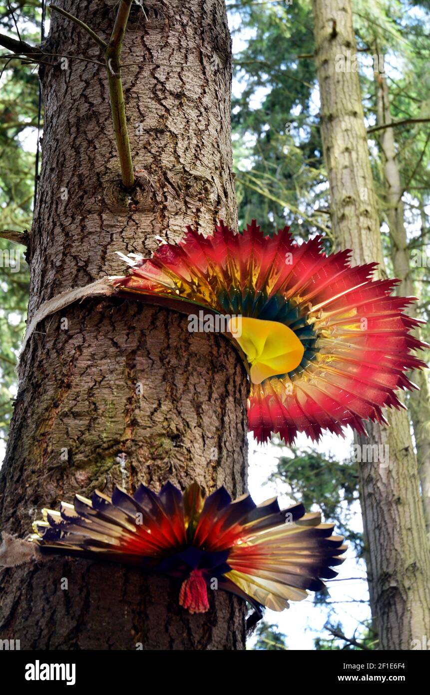 arbres aux ruffss aux couleurs vives au festival de musique de latitude henham suffolk angleterre royaume-uni Banque D'Images