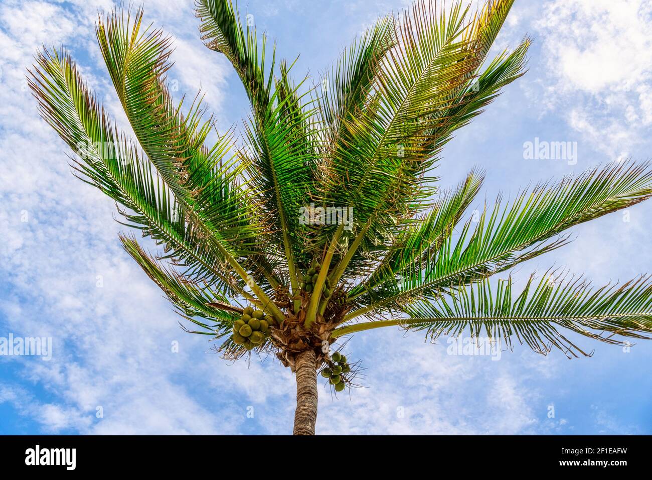 un concept de vent Banque D'Images