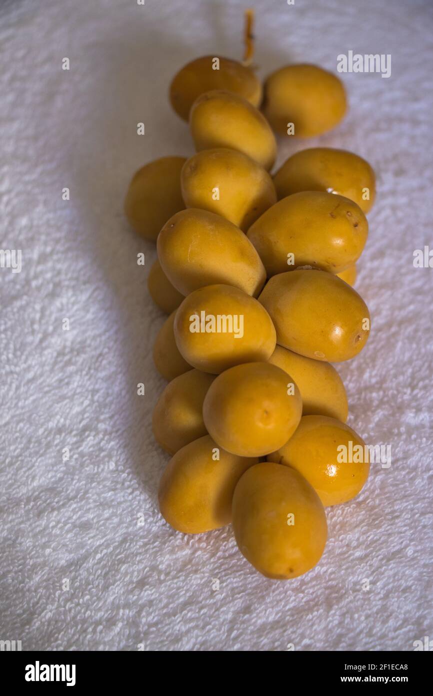 Palmier jaune à date brute isolé sur fond blanc. Les dates fraîchement récoltées se branissent sur un fond blanc Banque D'Images