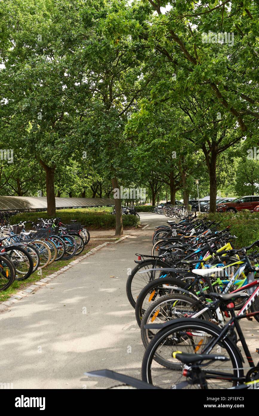 Parking pour vélos à l'école Banque D'Images