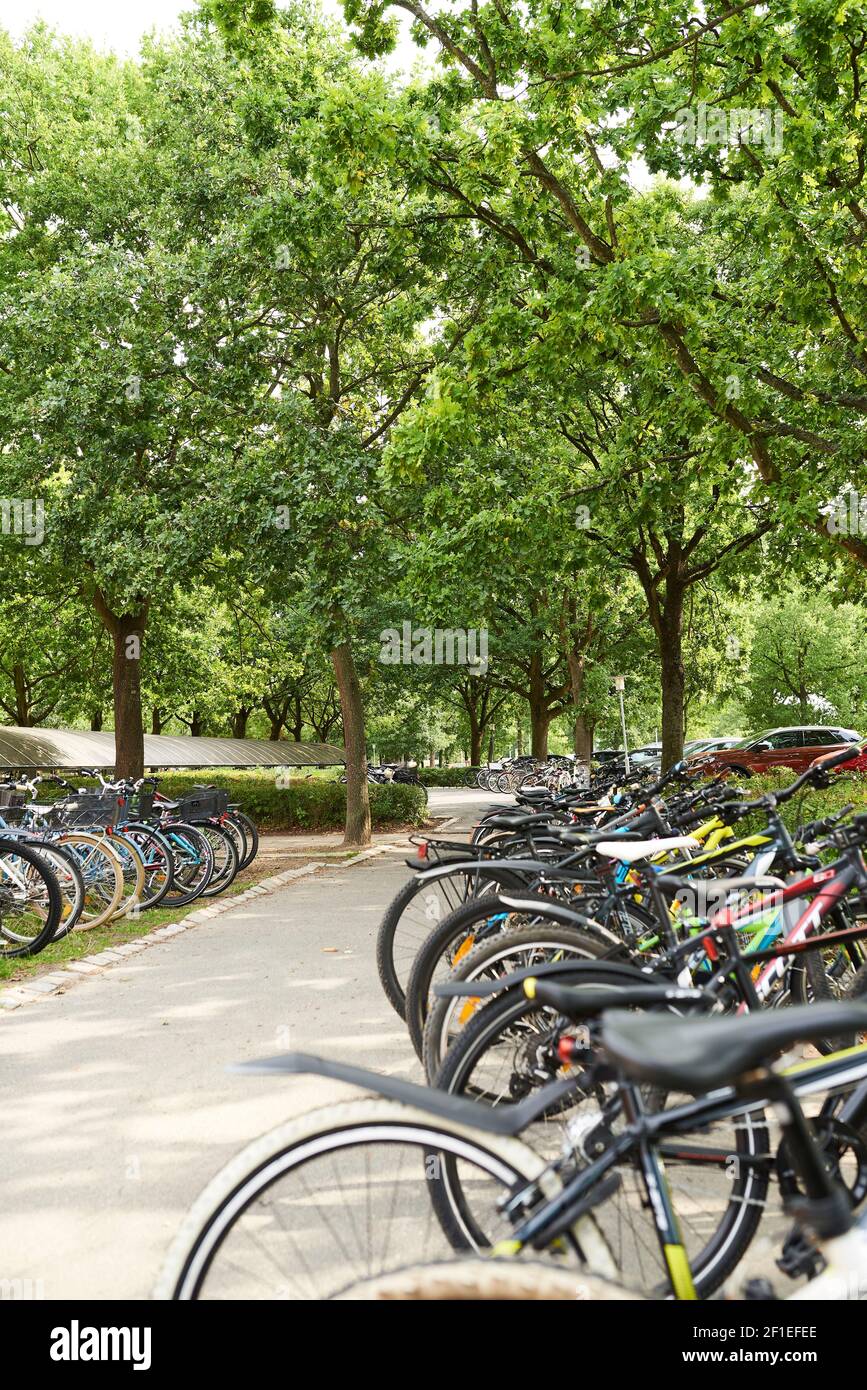 Parking pour vélos à l'école Banque D'Images