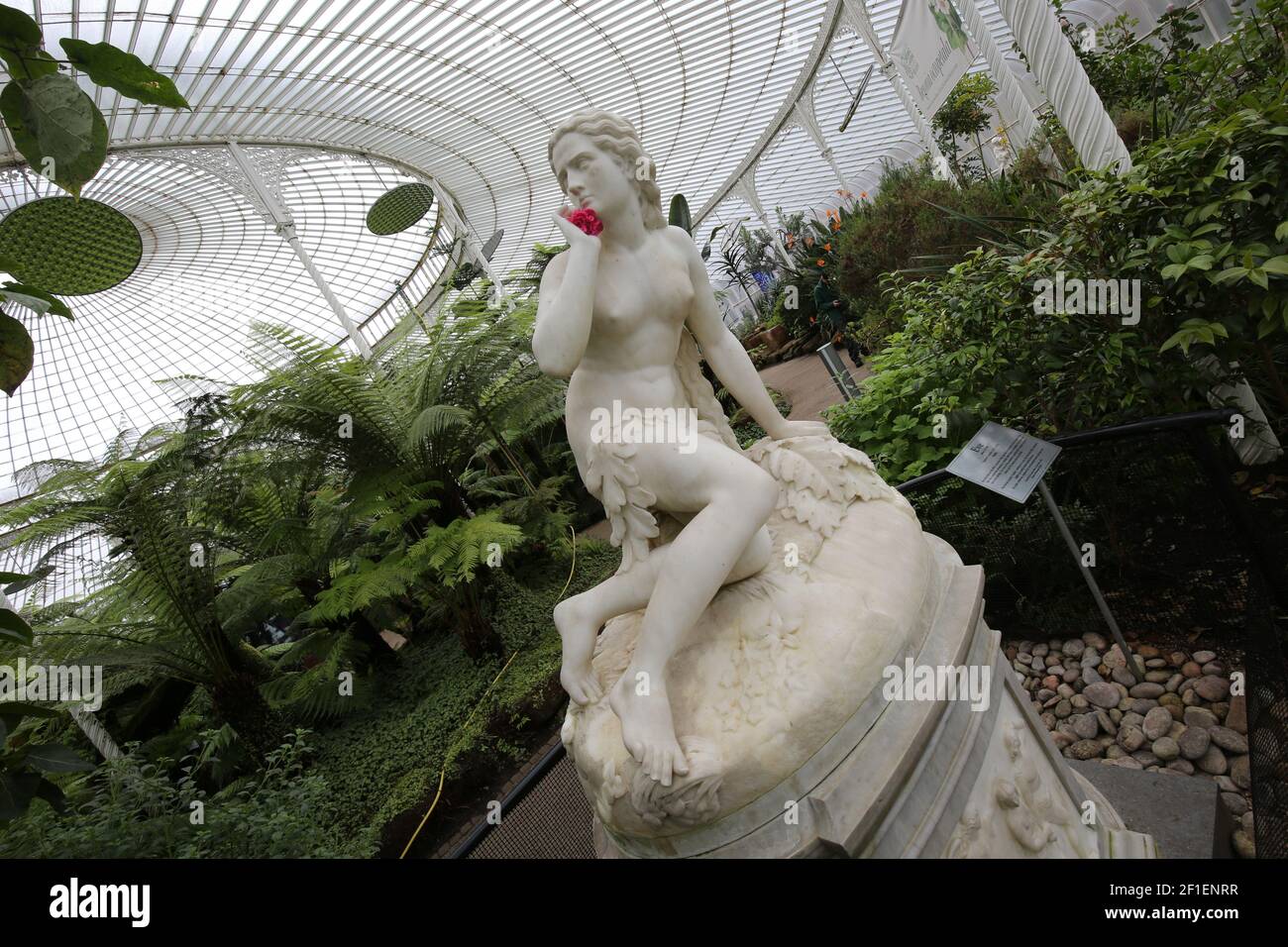 730 Great Western Rd, Glasgow G12 0UE, Écosse, Royaume-Uni. Les jardins botaniques de Glasgow sont un jardin botanique situé dans l'extrémité ouest de Glasgow, en Écosse. Il dispose de plusieurs serres, dont le plus remarquable est le Palais Kibble.John Kibble a construit sa serre dans les années 1860, comme un conservatoire privé pour sa maison à Coulport sur Loch long. Il a été démantelé et déplacé à Glasgow 1873 et reconstruit dans les jardins. Au départ, c'était un lieu de divertissement, dans les années 1880, la ventilation a été ajoutée et les plantes ont été introduites.la statue en marbre d'Eve, vers 1880 par le sculpteur italien Scipione Tadolini, Banque D'Images