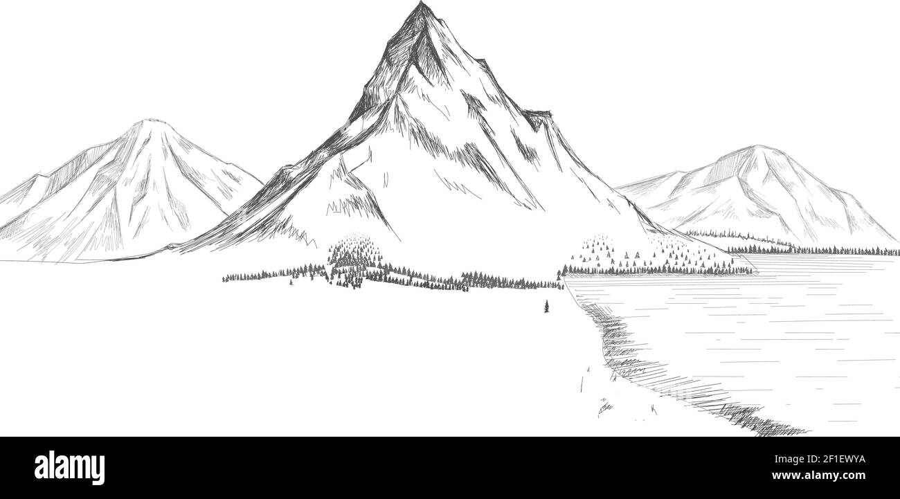 Montagne lac forêt pin arbres illustration du vecteur de roche. Illustration du vecteur de la plage de montagne. Illustration Lake Vector Illustration de Vecteur