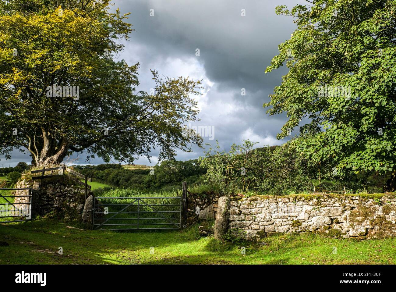entrée avec vue sur la campagne sur les champs d'arbres et hedgerow Banque D'Images