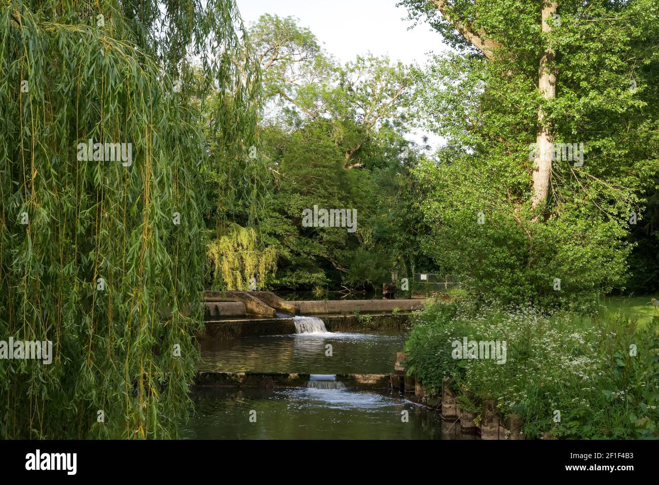 Belle rivière anglaise et vue sur la campagne avec arbres suspendus un jour d'été Banque D'Images