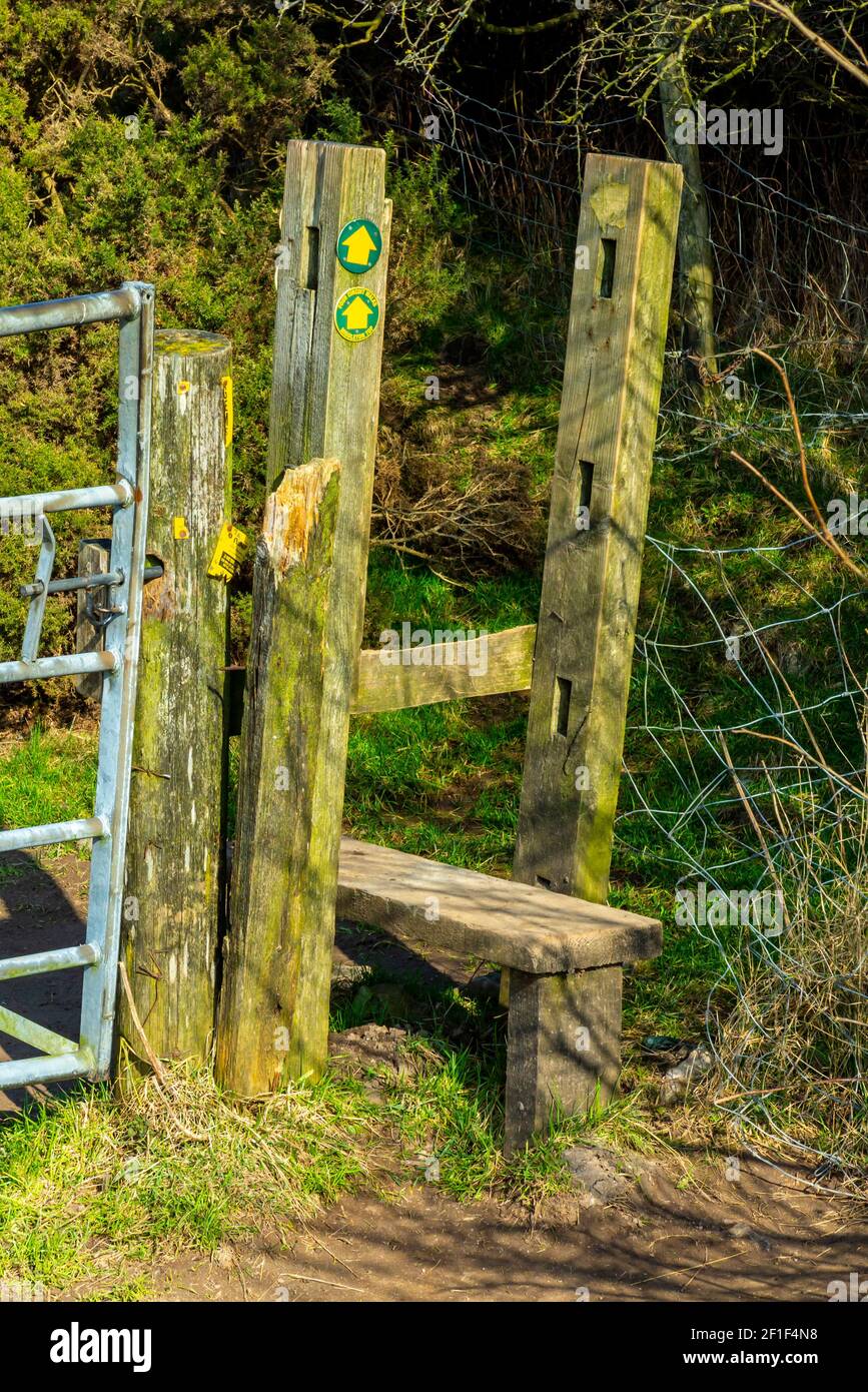 Piquet en bois sur un sentier public dans un champ de la campagne britannique. Banque D'Images