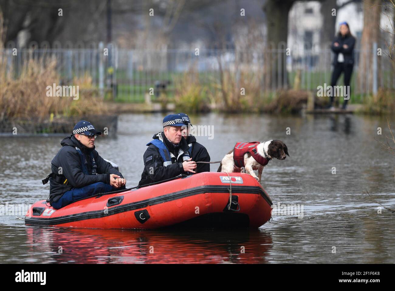 Un passerby passe la police dans un bateau avec un chien sniffer alors qu'ils cherchent Mount Pond sur Clapham Common pour la femme disparue Sarah Everard, 33 ans, qui a quitté la maison d'un ami à Clapham, dans le sud de Londres, mercredi soir vers 21h00 et a commencé à marcher jusqu'à Brixton. Date de la photo: Lundi 8 mars 2021. Banque D'Images