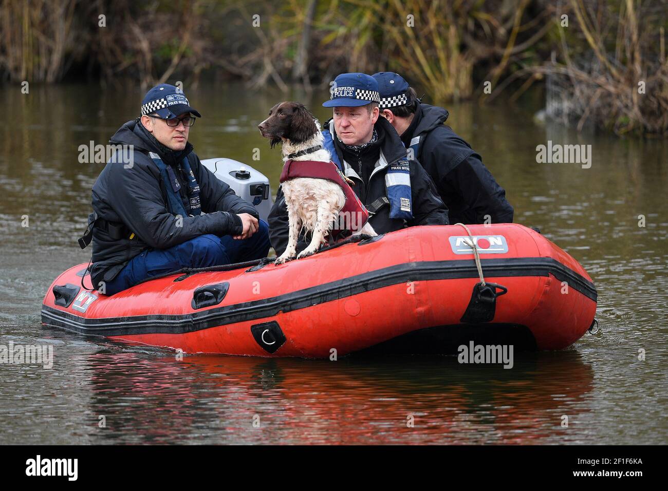 La police dans un bateau avec un chien renifleur recherche Mount Pond sur Clapham Common pour la femme disparue Sarah Everard, 33 ans, qui a quitté la maison d'un ami à Clapham, dans le sud de Londres, mercredi soir vers 21h et a commencé à marcher jusqu'à Brixton. Date de la photo: Lundi 8 mars 2021. Banque D'Images