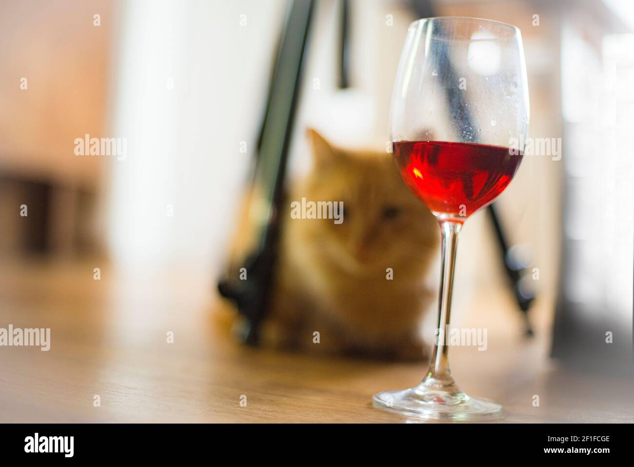 Silhouette d'un chat rouge, derrière un verre de vin rose Banque D'Images