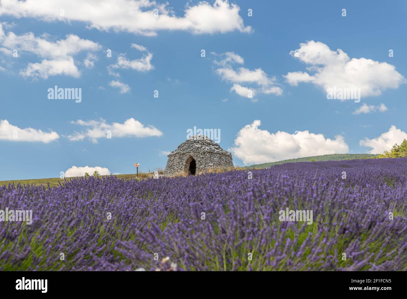 Maison ronde en pierre dans les champs de lavande en provence en France, Europe Banque D'Images